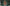 Video alt text